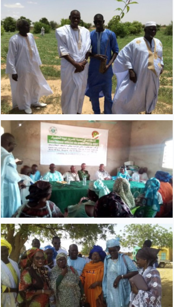 Environnement-Fouta Vert lance une campagne de plantation de 1632 arbres fruitiers Environnement-Fouta Vert lance une campagne de plantation de 1632 arbres fruitiers