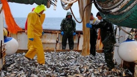 Bientôt un Code pour la pêche continentale et l’aquaculture Bientôt un Code pour la pêche continentale et l’aquaculture