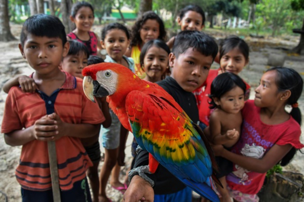 L'Amazonie racontée par ses habitants