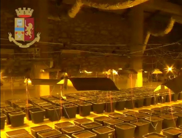 Italie: une plantation de marijuana cachée derrière...une cabine de douche Italie: une plantation de marijuana cachée derrière...une cabine de douche