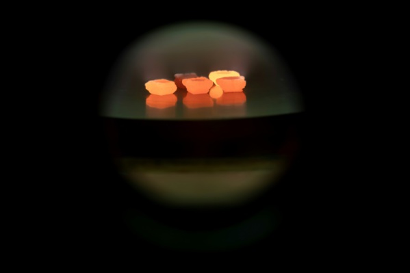 Dans une banlieue nord de Paris, une start-up fait "pousser" des diamants Dans une banlieue nord de Paris, une start-up fait "pousser" des diamants