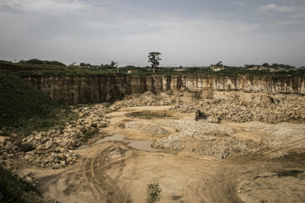 Au Sénégal, les baobabs ploient sous la pression des cimentiers