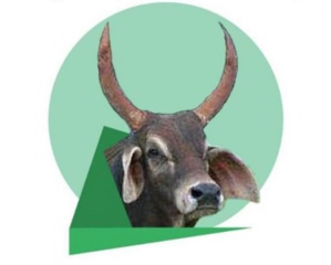 Mauritanie: La CVE adopte sa Charte et s’ouvre aux forces progressistes Mauritanie: La CVE adopte sa Charte et s’ouvre aux forces progressistes