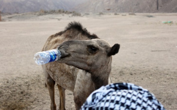 Pas d’eau à la SOCOGIM depuis plusieurs jours Pas d’eau à la SOCOGIM depuis plusieurs jours