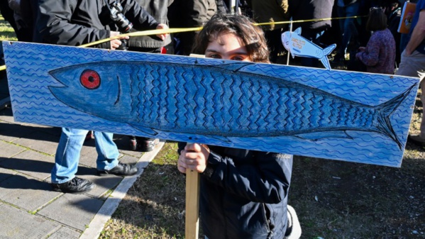 Des dizaines de milliers de "sardines" antifascistes défilent à Rome Des dizaines de milliers de "sardines" antifascistes défilent à Rome