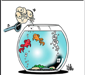 Mauritanie : Hausse de salaire des députés pendant que les autres fonctionnaires souffrent Mauritanie : Hausse de salaire des députés pendant que les autres fonctionnaires souffrent