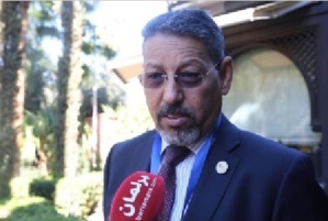 Général mauritanien: sans la France, la situation au Sahel serait bien pire Général mauritanien: sans la France, la situation au Sahel serait bien pire