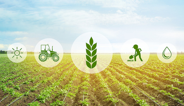 Rosso : des dizaines d’agriculteurs protestent devant les locaux de la wilaya Rosso : des dizaines d’agriculteurs protestent devant les locaux de la wilaya