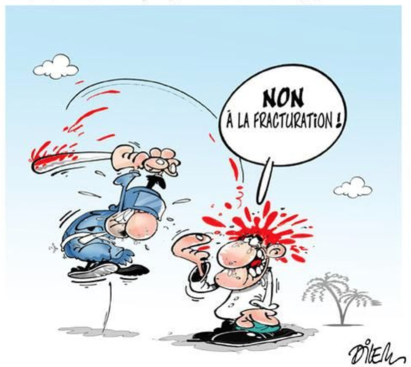 La Cour des Comptes épingle le PANPA : Mauvaise gestion, laxisme et carence La Cour des Comptes épingle le PANPA : Mauvaise gestion, laxisme et carence