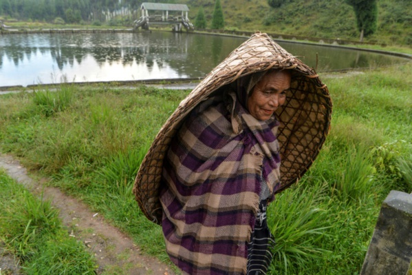 Sécheresses et inondations: la paradoxale crise de l'eau en Inde Sécheresses et inondations: la paradoxale crise de l'eau en Inde