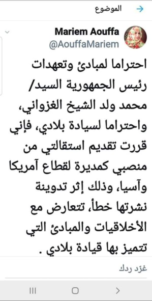 Mint Aoufa annonce sa démission du ministère des affaires étrangères Mint Aoufa annonce sa démission du ministère des affaires étrangères