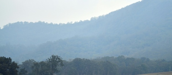Australie: la pluie tombe enfin sur les incendies Australie: la pluie tombe enfin sur les incendies