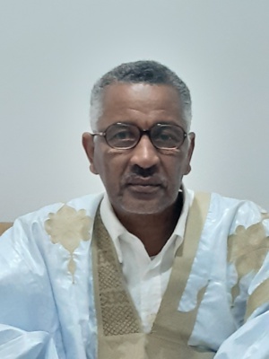 Mauritanie : l’amère Vérité. (deuxième fagot). Mauritanie : l’amère Vérité. (deuxième fagot).