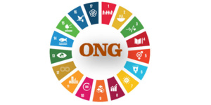 Renforcement des capacités des ONG actives dans le domaine du Patrimoine Culturel Immatériel Renforcement des capacités des ONG actives dans le domaine du Patrimoine Culturel Immatériel