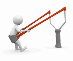 Nomination de chargés de mission Nomination de chargés de mission