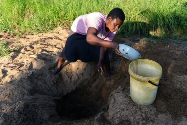 En Afrique australe, touchée par la crise climatique, des hommes et des bêtes aux abois