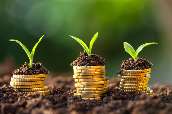 Le FIDA alloue 50 millions de dollars US à la gestion durable des ressources naturelles en Mauritanie Le FIDA alloue 50 millions de dollars US à la gestion durable des ressources naturelles en Mauritanie