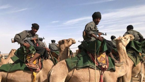L'Armée inflige une cuisante leçon aux contrebandiers et saisit des véhicules et des mitrailleuses