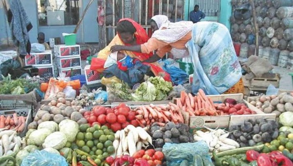 Mauritanie : vers une diminution des prix des fruits et légumes ? Mauritanie : vers une diminution des prix des fruits et légumes ?