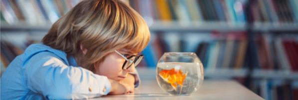 Stock de sécurité de 10.000 tonnes de poissons face aux effets du COVID-19