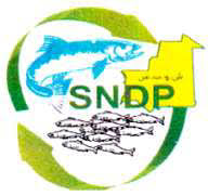 La SNDP ouvre 103 points de distribution de poisson à Nouakchott La SNDP ouvre 103 points de distribution de poisson à Nouakchott