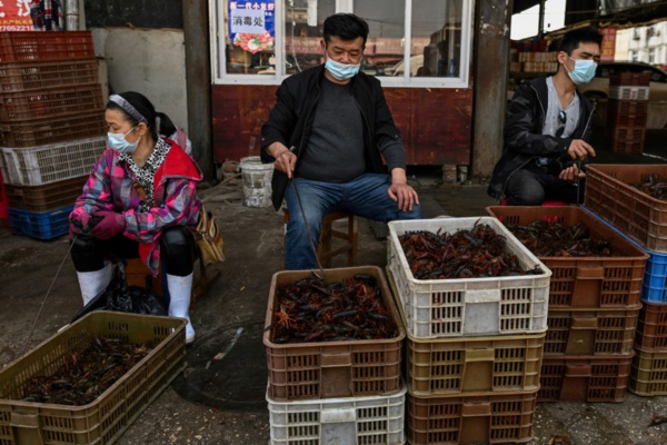 Chine: les sulfureux marchés de Wuhan rouvrent à l'ombre du virus Chine: les sulfureux marchés de Wuhan rouvrent à l'ombre du virus