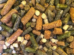 Zouérate: La commission régionale des éleveurs discute de la procédure de distribution de l’aliment de bétail Zouérate: La commission régionale des éleveurs discute de la procédure de distribution de l’aliment de bétail