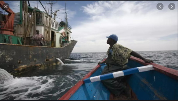 Grève générale des pêcheurs artisanaux