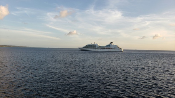 La torture psychologique du confinement en mer pour les équipages des croisiéristes