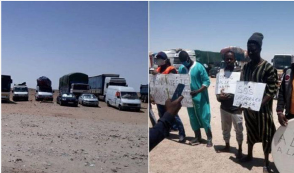 Maroc : la situation des transporteurs sénégalais coincés en plein désert à la frontière mauritanienne