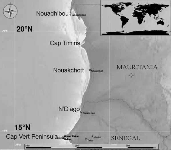 Mauritanie: accélération des travaux du port de Ndiago