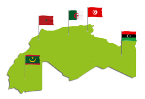 Evolution du Coronavirus dans les 5 pays du Maghreb arabe : La Mauritanie dépasse la Tunisie ! Evolution du Coronavirus dans les 5 pays du Maghreb arabe : La Mauritanie dépasse la Tunisie !