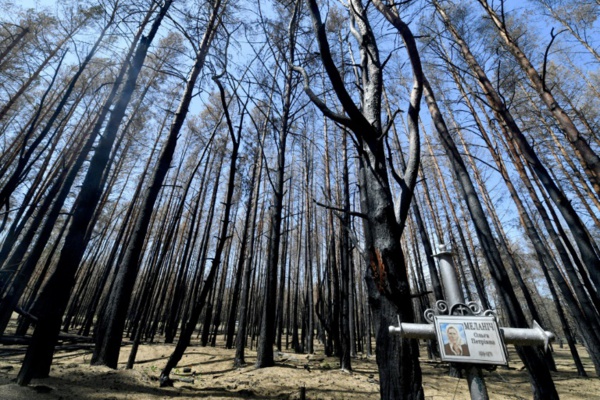 A Tchernobyl, des scientifiques mesurent le désastre après des incendies record A Tchernobyl, des scientifiques mesurent le désastre après des incendies record