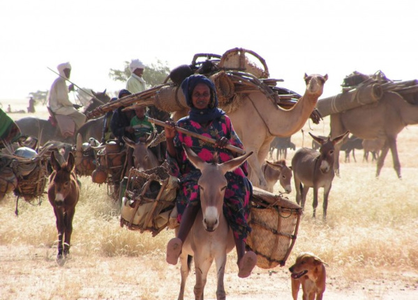 Mauritanie: les conséquences néfastes des fermetures des frontières sur la transhumance