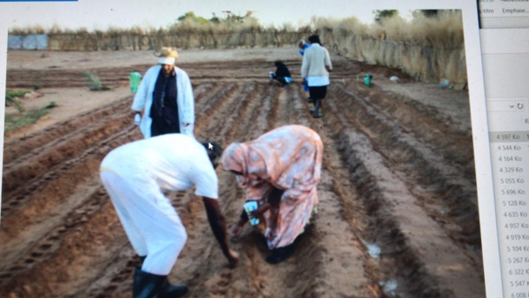 Hodh Elgharbi: Des actions concrètes réalisées par OXFAM et ses partenaires