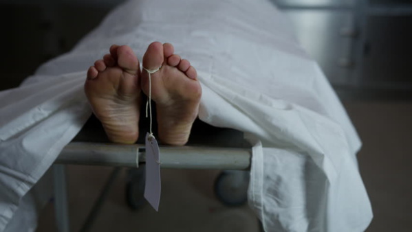 Mauritanie : 3 morts de fièvre de la vallée du Rift Mauritanie : 3 morts de fièvre de la vallée du Rift