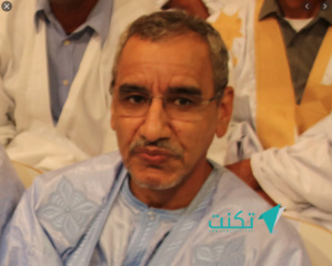 Mohamed Ahmed Ould Mohamed Lemine