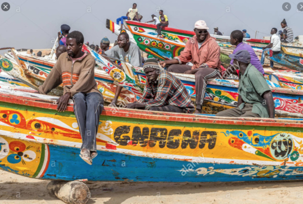 Les multinationales de la pêche pillent les océans de l’Afrique de l’Ouest alors que le secteur artisanal est verrouillé par la Covid-19