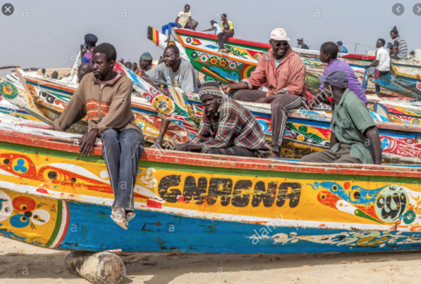 Les multinationales de la pêche pillent les océans de l’Afrique de l’Ouest alors que le secteur artisanal est verrouillé par la Covid-19 Les multinationales de la pêche pillent les océans de l’Afrique de l’Ouest alors que le secteur artisanal est verrouillé par la Covid-19