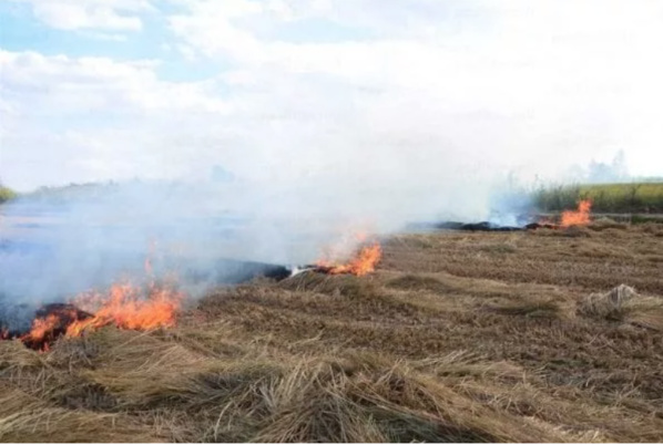 Mauritanie : vastes incendies de pâturages dans l’est du pays Mauritanie : vastes incendies de pâturages dans l’est du pays