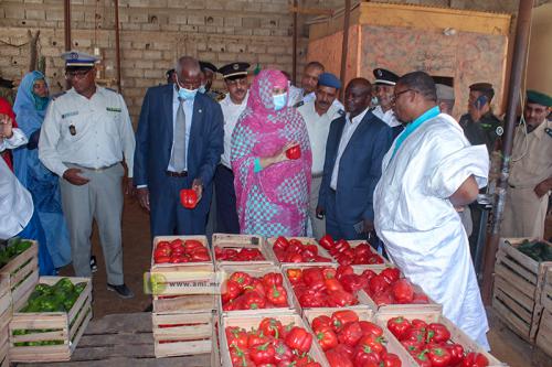 Nouakchott : La ministre du commerce visite le marché des légumes Nouakchott : La ministre du commerce visite le marché des légumes