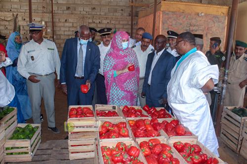 Nouakchott : La ministre du commerce visite le marché des légumes