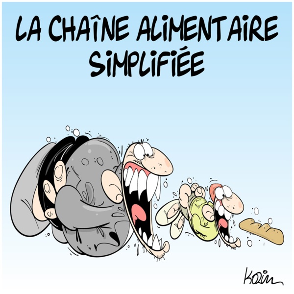 Le ministre des Affaires économiques se réunit avec le bureau exécutif de l'Union Nationale du Patronat Mauritanien Le ministre des Affaires économiques se réunit avec le bureau exécutif de l'Union Nationale du Patronat Mauritanien