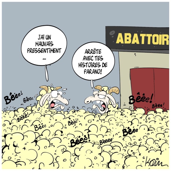 Le président de la République inaugure un abattoir moderne, Sélibabi