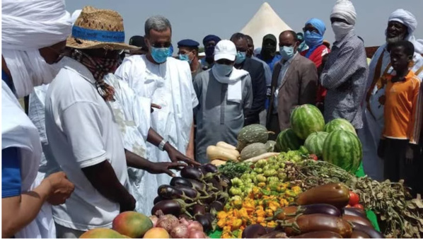 Lancement d’une campagne pour encourager le maraîchage Lancement d’une campagne pour encourager le maraîchage