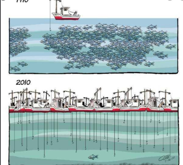 Le ministre des Pêches s’entretient avec l’ambassadeur brésilien Le ministre des Pêches s’entretient avec l’ambassadeur brésilien