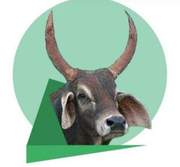 La CVE rend Hommage à Gagny Boudallah Diawara La CVE rend Hommage à Gagny Boudallah Diawara