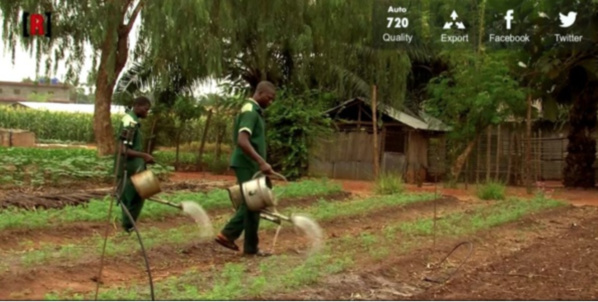 Boghé : La commission foncière locale en conclave autour du Hakem Boghé : La commission foncière locale en conclave autour du Hakem