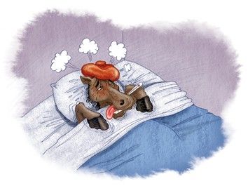Mal-être général dans la capitale et le reste du pays Covid et fièvres imposent le couvre-feu Mal-être général dans la capitale et le reste du pays Covid et fièvres imposent le couvre-feu