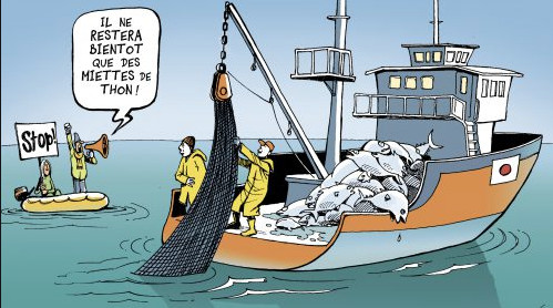 Début d’échanges et de concertations sur la pêche